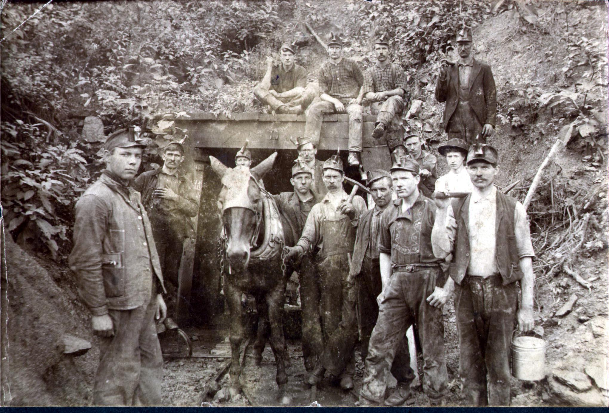 employeurs à Cork