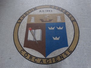 DSC00449