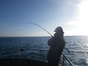 22012011pecheenirlande