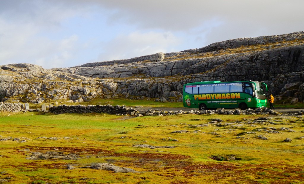 Tours en bus - Paddywagon