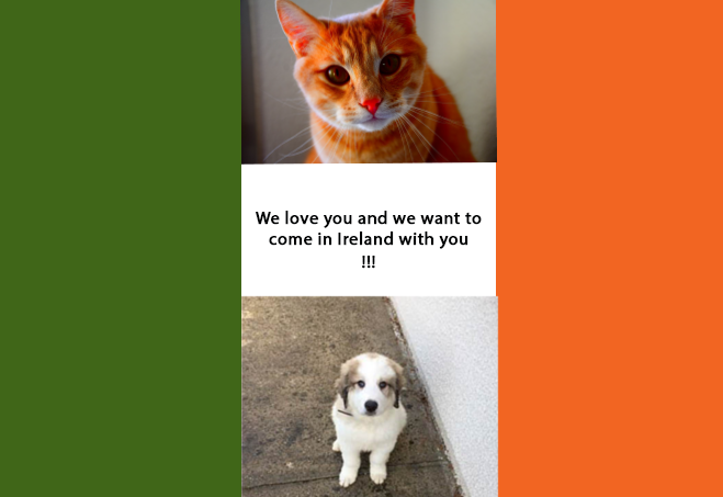 Les conditions pour amener son animal de compagnie en Irlande