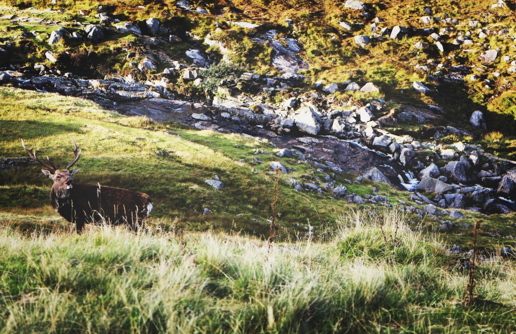 Focus sur l'outdoor en Irlande 