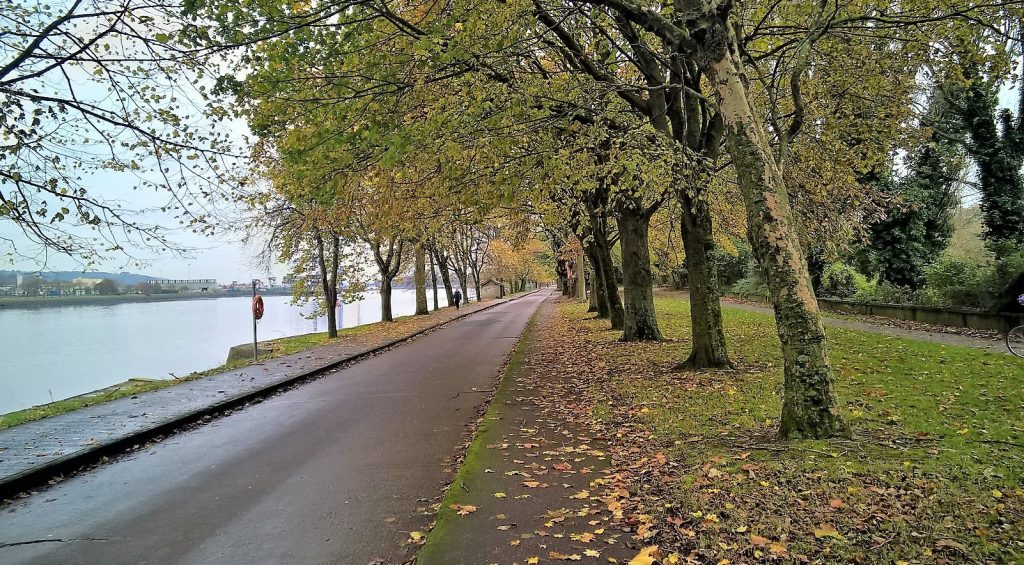 Une promenade sur le bord de la Lee 